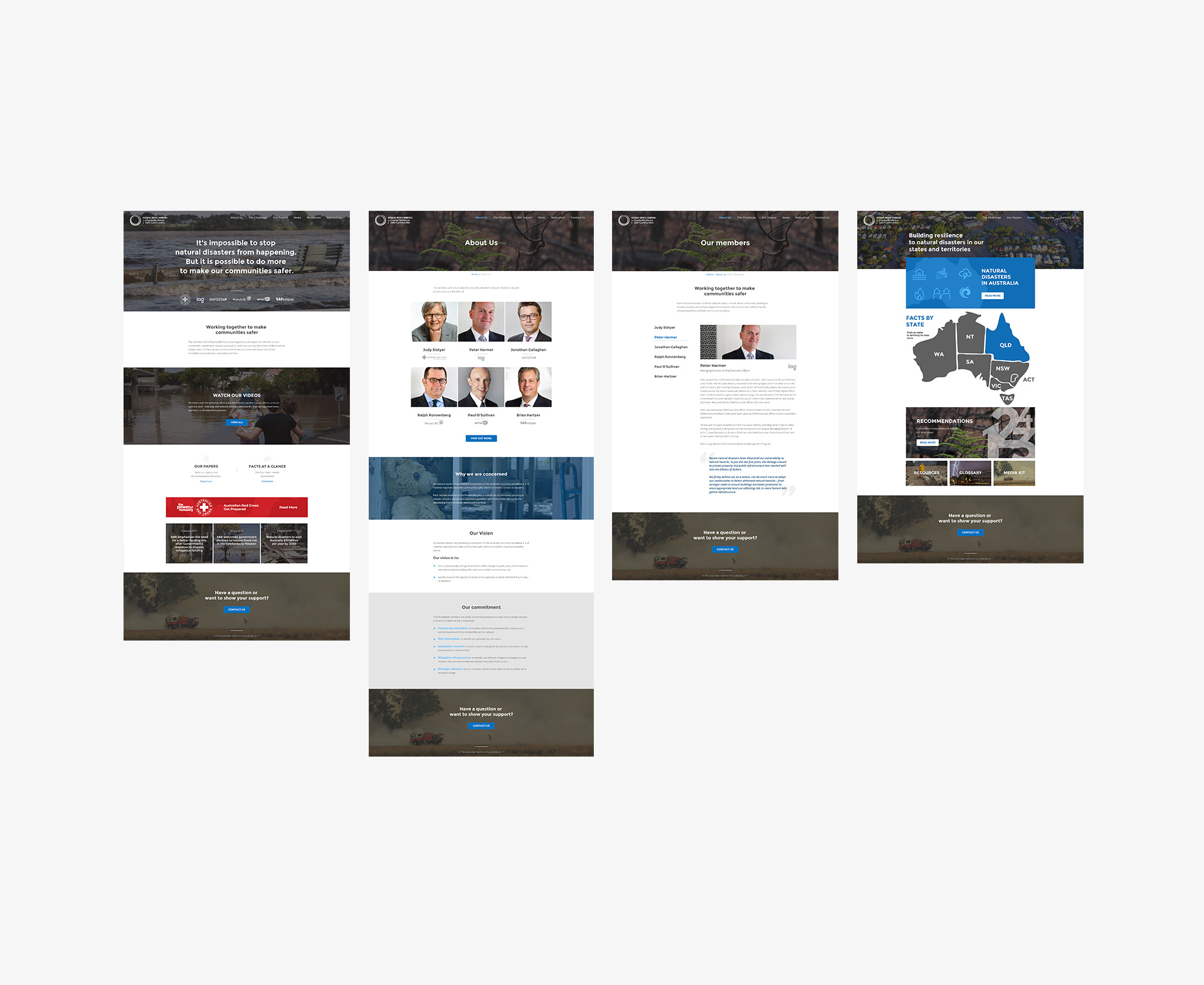 A few pages of the website